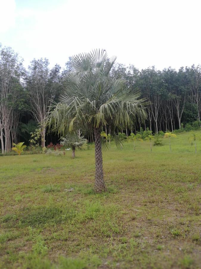 Appartamento Palm Garden House Ko Lanta Esterno foto