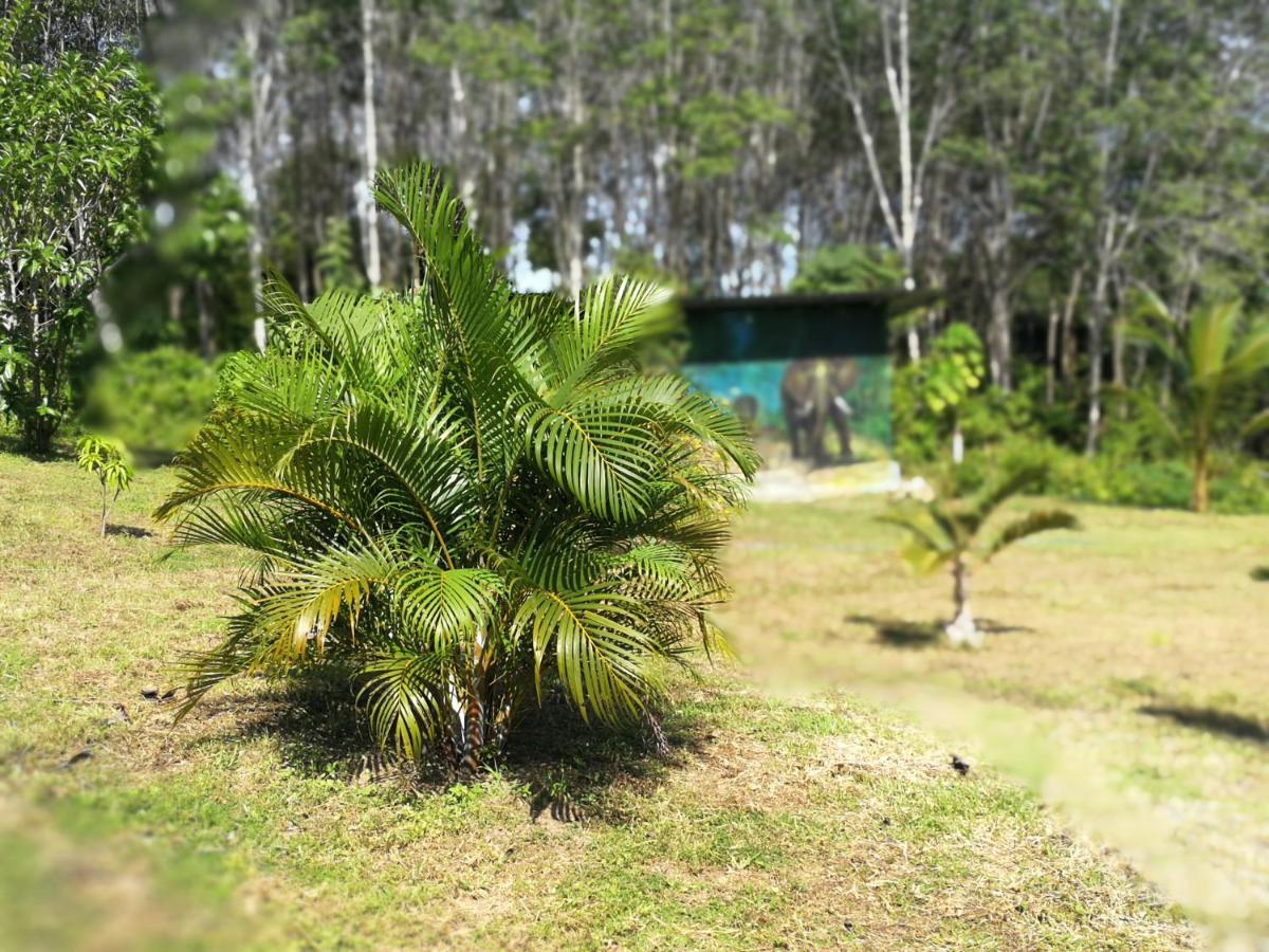 Appartamento Palm Garden House Ko Lanta Esterno foto