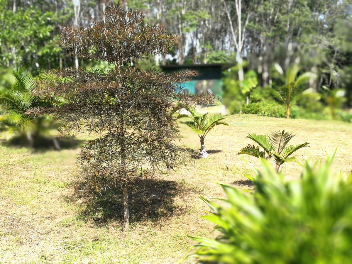Appartamento Palm Garden House Ko Lanta Esterno foto